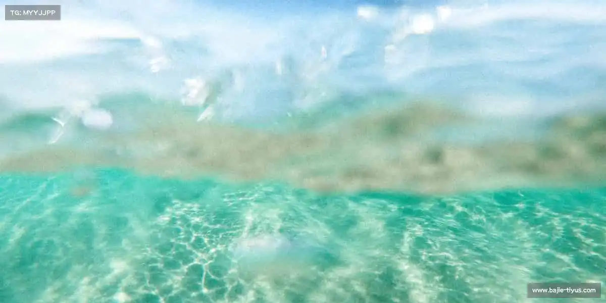 八戒体育——🏐腾空扣杀，排球的热血与默契！